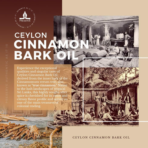 PRESERVE Ceylon Cinnamon Bark Essential Oil, 100% Pure Natural Oil, Undiluted, Therapeutic Grade Base Oil for Aromatherapy, Diffuser, Fragrance, F...