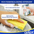 CELOX 6 Pack Dish Sponge for Kitchen, Dual Sided Scrub Heavy Duty, Non Scratch Sponges Perfect for Dishwashing and Household Cleaning, Highly Abso...