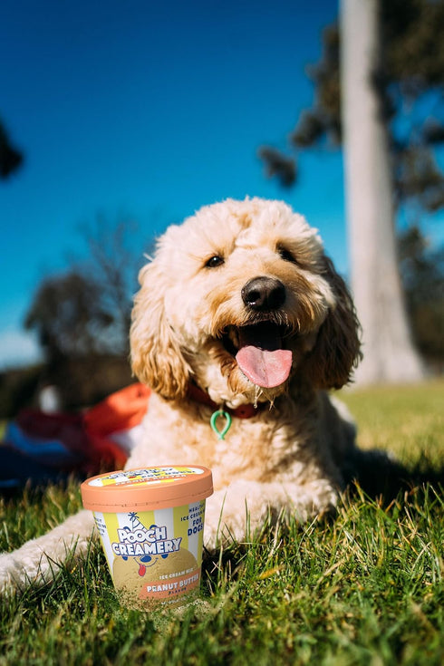 Pooch Creamery Ice Cream Mix for Dogs - Peanut Butter …...