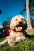 Pooch Creamery Ice Cream Mix for Dogs - Peanut Butter …...