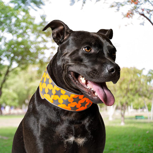 Reflective Dog Collar. Fluorescent, Blaze Orange with Adjustable Fastener for Small, Medium & Large Pets. High Visibility Dog Products to Safeguar...