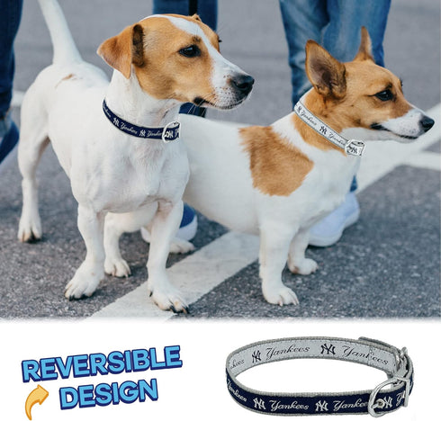 New York Yankees Reversible MLB Dog Collar, Medium. Premium Home & Away Two-Sided Pet Collar Adjustable with Metal Buckle. Your Favorite MLB Baseb...