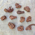 Safari Ltd Dinosaur Skulls TOOB - 11 Mini Figurines Including Velociraptor, Brachiosaurus, Oviraptor, Triceratops, Tyrannosaurus Rex and More - Ed...