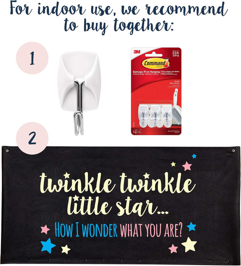 Gender Reveal Balloon Drop Bag | Twinkle, Twinkle Little Star...