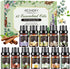 Essential Oils Set - 12 Pcs Aromatherapy Essential Oil Kit for Diffuser, Humidifier, Aromatherapy, Massage, Soap, Candle Making (5mL)...