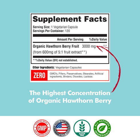 Hawthorn Berry 5:1 Extract, 3000mg per Capsule, Promotes Healthy Immune Support & Circulation, Powerful Antioxidants, 120 Veg Cap, Organic Hawthor...