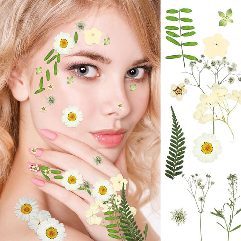 Fabbay 200 Pcs Dried Pressed Flowers Real Dry Natural Flower Leaf Dried Flowers for Resin Pressed Flower Kit for Plant Herbarium Scrapbooking DIY ...