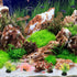 POPETPOP 40 Pcs Fish Tank Landscaping Water Plants Faux Plant Miniatures Mini Plants Artificial Seaweed Aquarium Plants Decors Small Fake Aquarium...