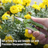 Mr. Pen- Gardening Scissors, 6.5 Inch, Green, Pruning Shears for Gardening with Straight Stainless Steel Blade, Plant Trimming Scissors, Garden sh...