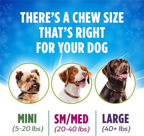 Purina DentaLife ActivFresh Chicken Flavor Small/Medium Breed Adult Dog Dental Chews - 21 ct. Pouch...