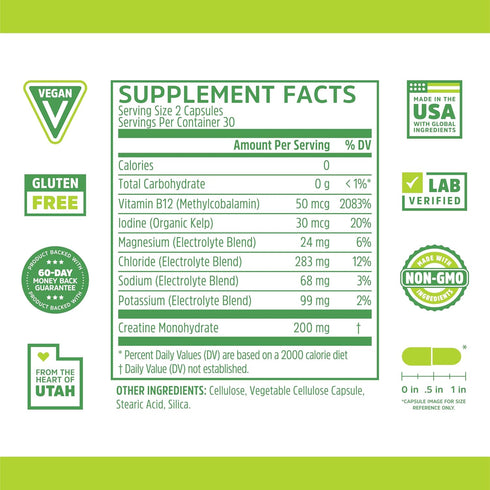 Zhou Fast Support+ Intermittent Fasting Support Supplement, Vitamin B12 for Energy, Electrolytes Magnesium, Chloride, Sodium, Potassium, Creatine ...