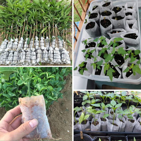 Non-woven Nursery Bags, 200PCS 5x6 inch Fabric Planter for Plants Tree Seedling, Seed Starting Soil Transplant Pouches, Plant Grow Bags for Cuttin...