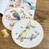 Generic 4 Sets Embroidery Kit for Beginners Adults Cross Stitch Starter Kits DIY Embroidery Kits with Patterns and Instructions Hoops Needles Thre...