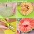 14 Pack Melon Baller Scoop Set - 4 in 1 Stainless Steel Fruit Tool Set Fruit Scooper Seed Remover with Fruit Vegetable Cutter Shapes Set Fruit Pee...