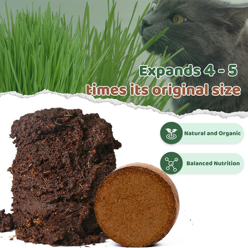 Organic Potting Soil for Indoor Cat Grass, Great Seedling Soil for Wheat Grass, bermuda, catnip, and All Indoor Herb Plants...