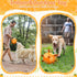 Orange Dog Toys Soccer Ball - Dog Soccer Ball with Straps, Dog Water Toy for for Tug of War, Durable Dog Balls for Large Dogs (8 Inch)...