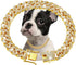 Gold Dog Chain Collar Diamond Cuban Link Dog Collar 13mm Wide Dog Necklace Metal Cat Chain Pet Crystal Collar Jewelry Accessories for Small Medium...