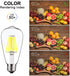 12V Edison Bulb 6W E26 12V LED Bulb Daylight 6000K 60W Equivalent, AC/DC 12V 24V 36V Low Voltage LED Light Bulb for RV Camper Marine, Off Grid Cab...