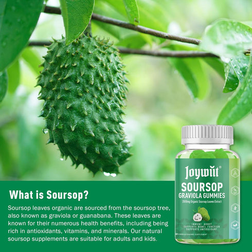 Organic Soursop Graviola Gummies, 2000mg Soursop Extract Organic, Soursop Graviola Leaves& Soursop Fruit Gummies, Antioxidant,Digestive& Immune Su...