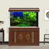 Aquarium Background Aquatic Plants Fish Tank Background Stone River Bed & Lake Aquarium Background Tropical Fish Tank Background Undersea Tree Bra...