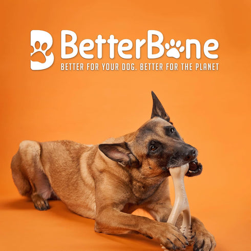 All-Natural, Nylon-Free Dog Chew Toys - Hard Density - Ideal for Strong to Aggressive Chewers - Non-Toxic, Promotes Dental Health, Splinter-Resist...