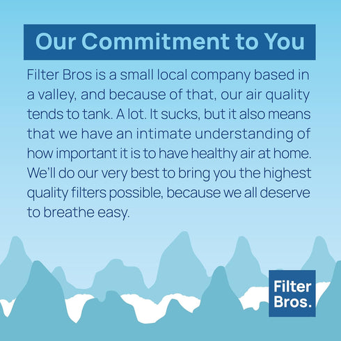 Filter Bros Carbon Filter B 4Pack Replacement Fits GermGuardian AC4825 AC4900CA...