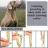 Gold Chain Dog Collar Link Dog Chain Metal Dog Chain Collars Dog Link Collar for Small Medium Large Dogs (14 Inch)...