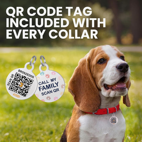 BRONZEDOG Rolled Leather Dog Collar for Small Medium Large Dogs with QR ID Tag (XS: 9-11 Inch, Chocolate Brown)...
