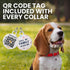 BRONZEDOG Rolled Leather Dog Collar for Small Medium Large Dogs with QR ID Tag (XS: 9-11 Inch, Chocolate Brown)...