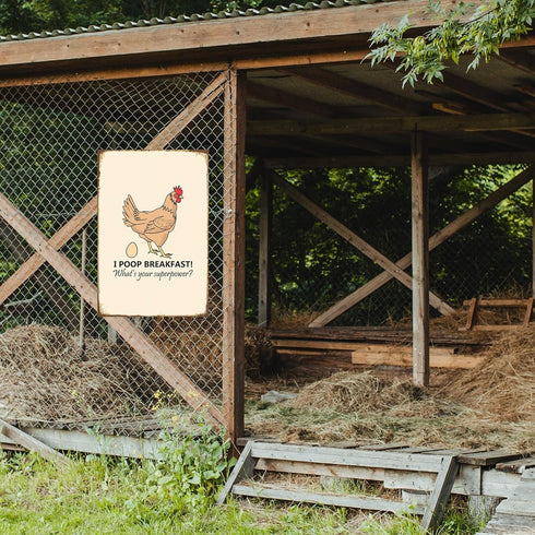 Funny Chicken Sign, Metal Chicken Coop Tin Signs, I poop breakfast, Yard Sign Garage Farm Garden Wall Decor Sign Plaque Outdoor for Home Fence 8 X...