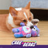 Pet Plush Squeaky Toy Care-a-Lot Bear, 9” with Squeaker Inside | Care-a-Lot Bear for Dogs Squeaky Plush Toy | Collectible Dog Toys (FF19807)...