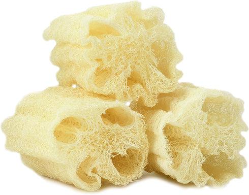 Egyptian Loofah Sponges Natural Exfoliating Body Wash Gourd, Loofah Bath Sponges for Skincare, Exfoliating Back Scrubber (Pack of 3-6.5 in.)...