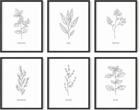 HAUS AND HUES Kitchen Herbs Wall Art Decor for Kitchen Herb Art Prints and Kitchen Signs Wall Decor | Herb Prints Kitchen Wall Art Kitchen Posters...