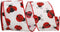 Reliant Ribbon Ladybug Place We Rd Ribbon, 2-1/2 Inch X 10 Yards, White...