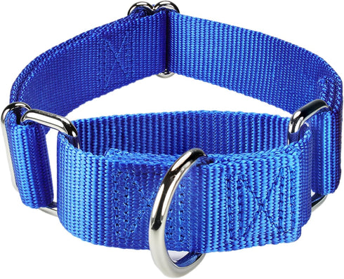 Martingale Dog Collar Nylon Adjustable and Safety Training Colourful Comfortable Metal Buckle Pet Collars for Small Medium and Large Dogs(Royal Bl...