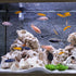AnRui Ceramic Jar Aquarium Decorations Fish Tank Hideout Cave Cute Pot Aquarium Accessories Decor Ornaments for Cichlid, Small Fish, Shrimp to Pla...