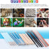 Glarks 19Pcs Carving Modeling Clay Sculpting Tools Set Including Plastic Modeling Tools, Ball Stylus, Silicone Tip Pens, Dual-end Dotting Clay Too...