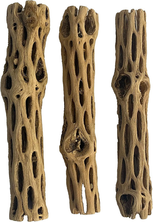 Awesome Aquatic Natural Cholla/Choya Wood 3 Pieces 6” for Shrimp Habitat and Food Treat Hermit Crabs Plecos Aquarium Decoration Lowers pH Hideouts...