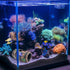 GSD Star-Fish Broken Barrel Decor Resin Betta Fish Tank Accessories Ornaments for Fish Cave Hide Tank Decorations, Broken Barrel x 1pc, Blue Star ...