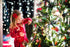 Scentsicles O Christmas Tree Scented Christmas Ornaments with Hooks - 3 Bottles (18 Sticks Total)...
