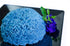 Bluechai Butterfly Pea Flower Powder - Natural Blue Food Coloring - 100% Blue Matcha - Pure Powdered Butterfly Pea. Perfect for Beverages, Cakes a...