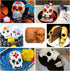 3d Skull Cake Molds for Baking, Cake Molds for Halloween, Food Grade Silicone DIY Large Skull Cake Pan for Birthday,Halloween and all parties....