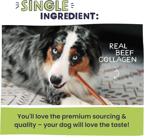 Pawstruck All Natural 11-12" Roasted Collagen Sticks for Dogs - Low Odor & Long Lasting Alternative to Bully Sticks and Rawhide Chews - Single Ing...