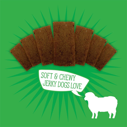 Evolve Classic Lamb & Brown Rice Jerky Bites Soft Dog Treats | 12 oz...