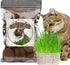 Organic Potting Soil for Indoor Cat Grass, Great Seedling Soil for Wheat Grass, bermuda, catnip, and All Indoor Herb Plants...