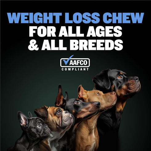 Bully Max 2-in-1 Dog Weight Loss Supplement Chews for Adult & Senior Dogs - Dog Food Supplements for Immunity, Joint Health & Weight Control - Dog...