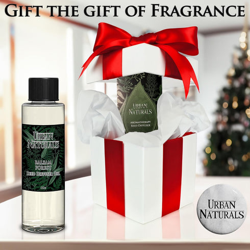 Urban Naturals Cucumber Sea Salt Reed Diffuser Oil Refill Kit | Fresh, Crisp Cucumber, Agave Leaves & Sea Salt | Essential Oil Room Scent + Replac...