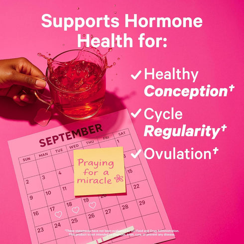 Pink Stork Fertility Tea for Conception and Hormone Balance with Organic Mint, Vitex, and Red Raspberry Leaf, Caffeine Free - Mint, 15 Sachets, Ho...