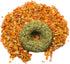 Grandpa's Best Whisker Nibblers Banana Carrot Treats for Rabbits, Guinea Pigs and Small Animals...
