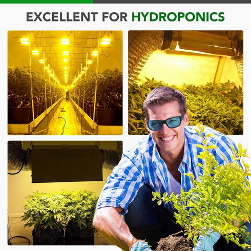 iPower GLGLSSBLUEV1 Grow Room Glasses Indoor Hydroponics Goggles HPS MH Light Reflection, 1-Pack MH&HPS, Blue...